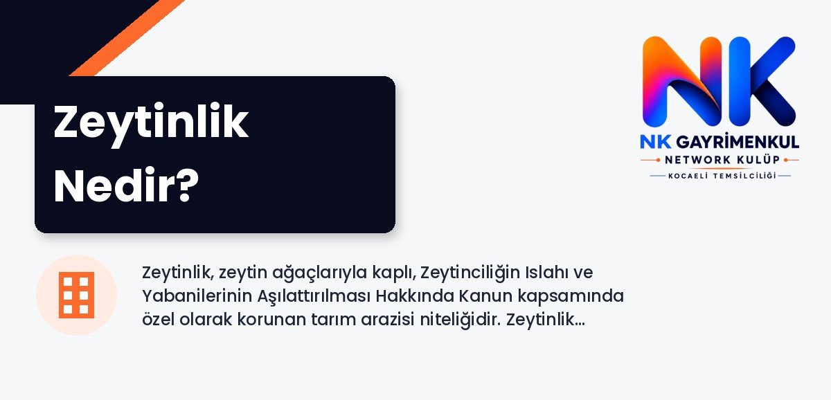 Zeytinlik Nedir?